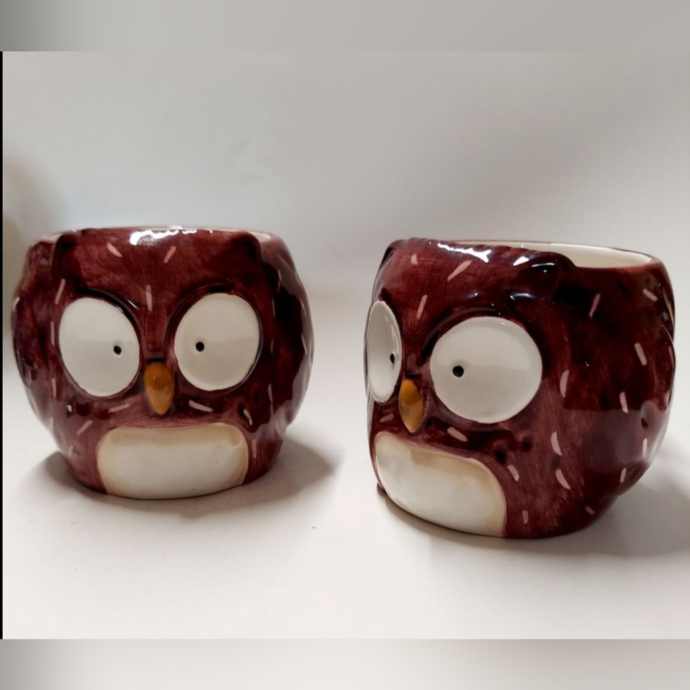 2 Vintage Pier 1 Owl Coffee Mugs Cozy‎ Countrycore
